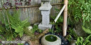 Water Features