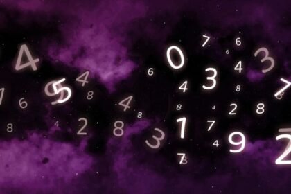 4582161912